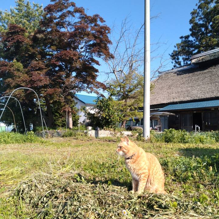 028fd467 b90c 4ace 9d14 13666b824ad9 1683845481693