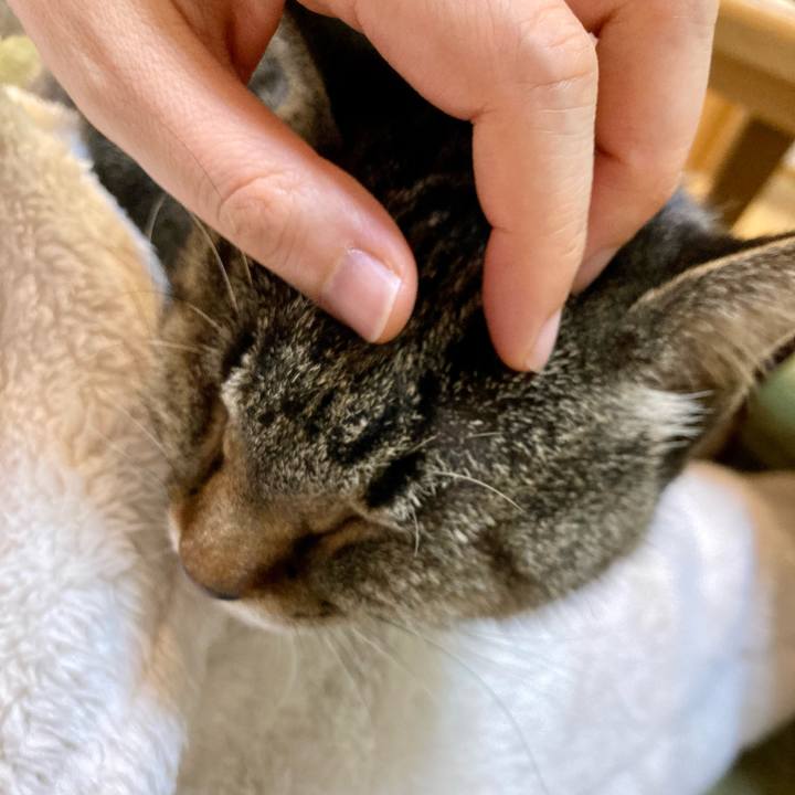 028febc4 139d 451d b1f8 b753cd5e4e4a 1640689169435