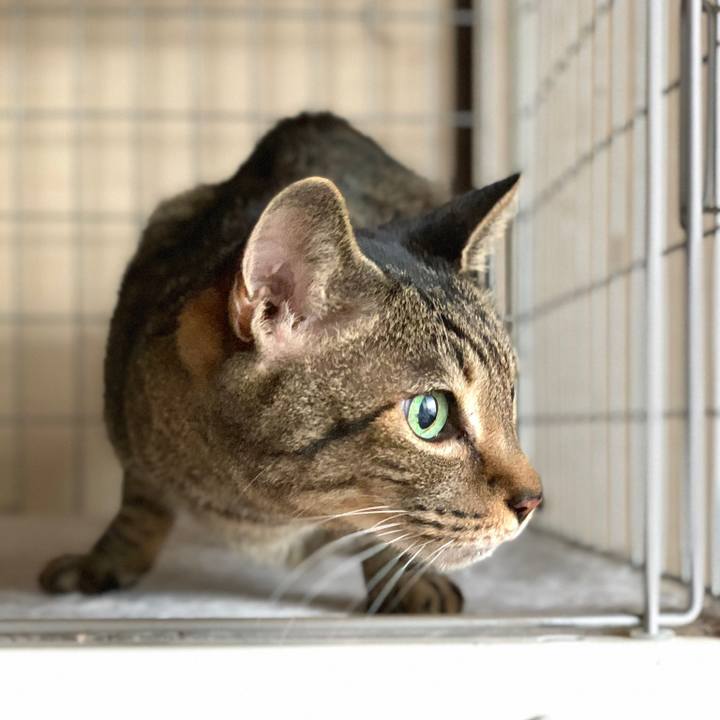 02901720 045f 4720 8bbc be1a3ef8701a 1582767450027