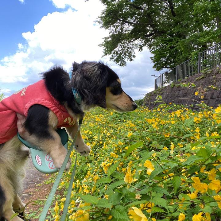 029020f0 2177 410e 88d6 64dc8685033b 1681623274744