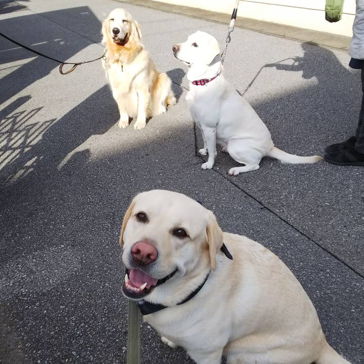 02902882 d640 4a45 90fd 3cd645216f2d 1575866186304