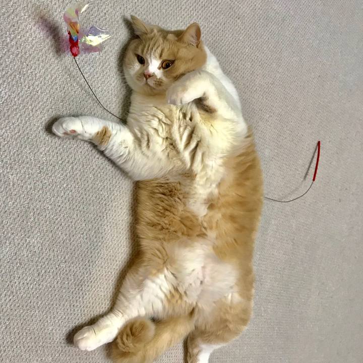 02909d24 be10 4506 9435 65bfe885f842 1551269097680