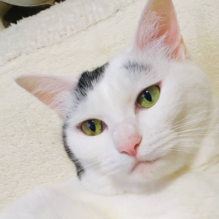 0290b0cb fce2 4b49 93b3 3482dbabb92a 1563867087778