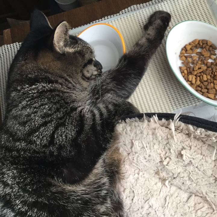 0290c2d8 dc28 4c17 82a5 a6e556029e8a 1586931312622