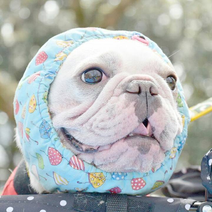 0290f921 6e08 4042 9e34 8ffe0b0d4313 1526993851082