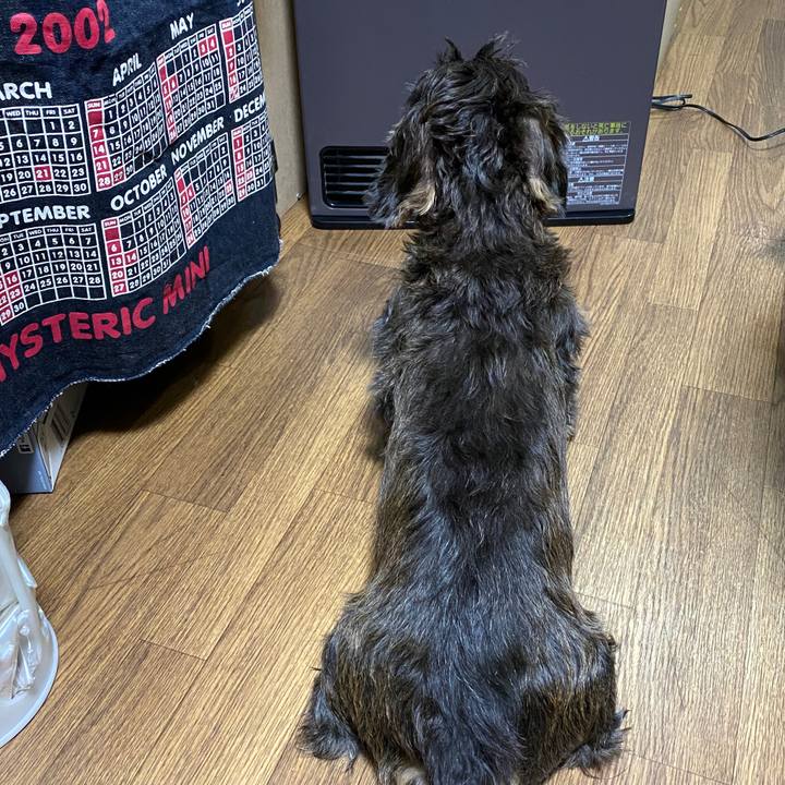 02910781 eedf 4ae0 90ca 921796c28e80 1574864039753