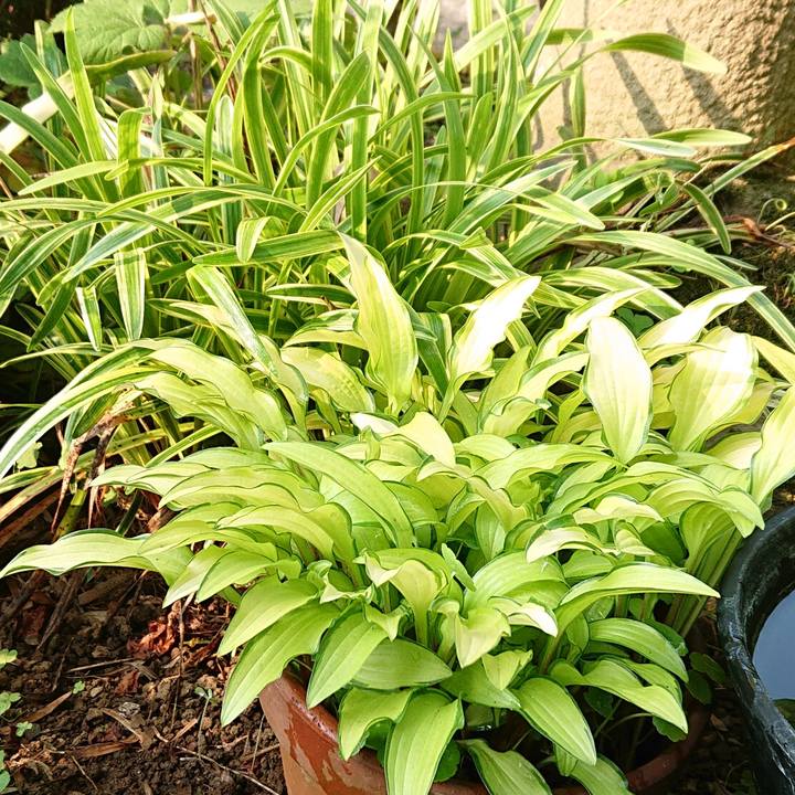 02910da6 2e4f 45b8 b401 6812b61fc283 1653450764858