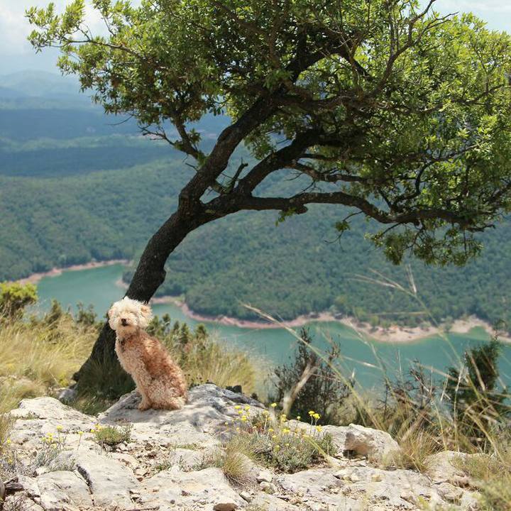 02910dc9 dfd1 4c99 8404 cfe1f8b99245 1560960076833