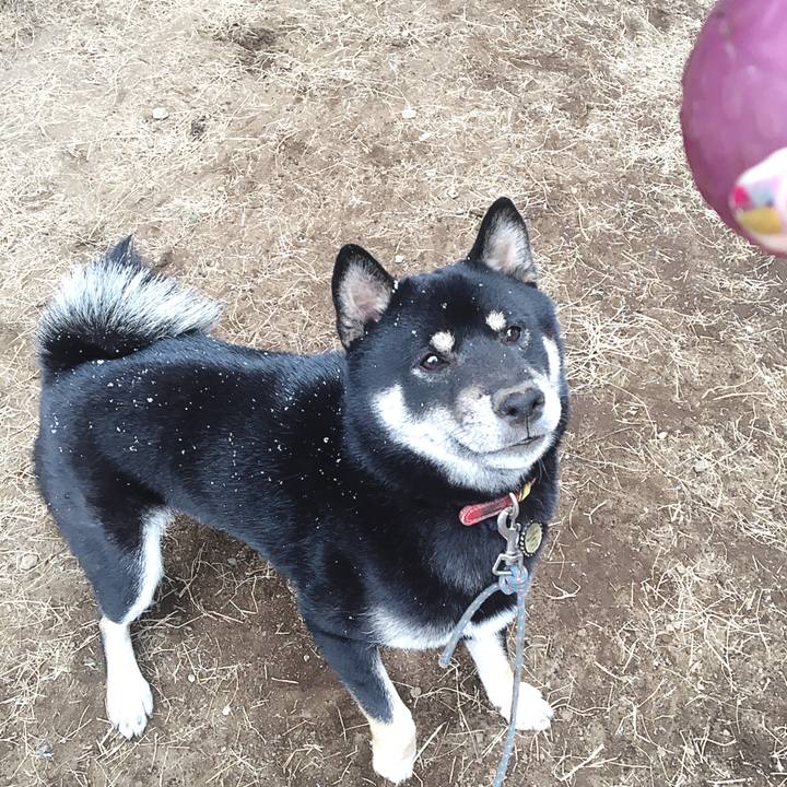 02911618 ece2 41e2 9950 25cfca208e94 1547257398570