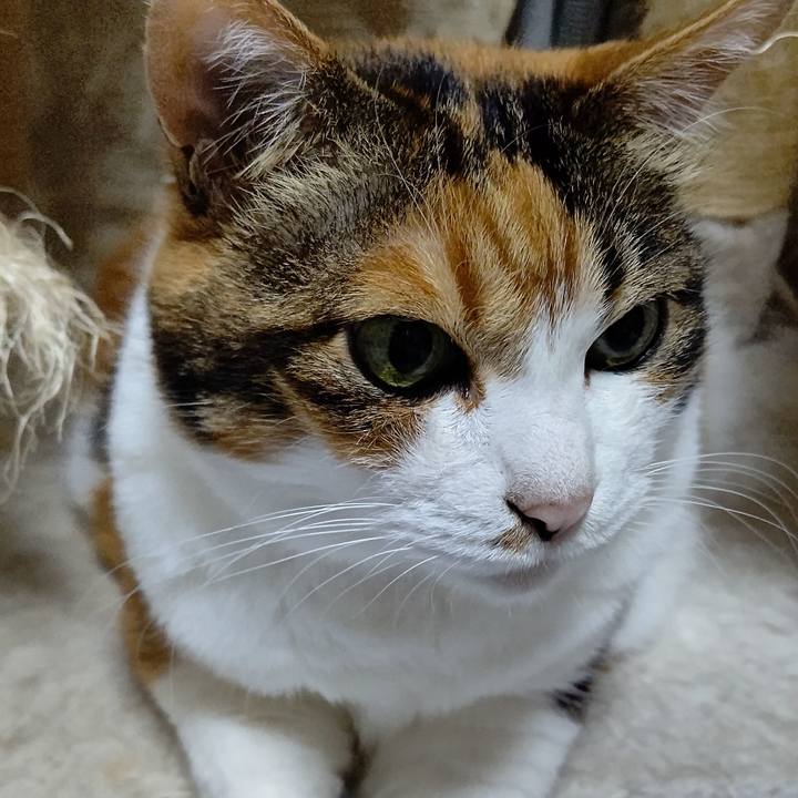 0291181a e99a 48df 8d5f 4ef3488474e3 1626004495790