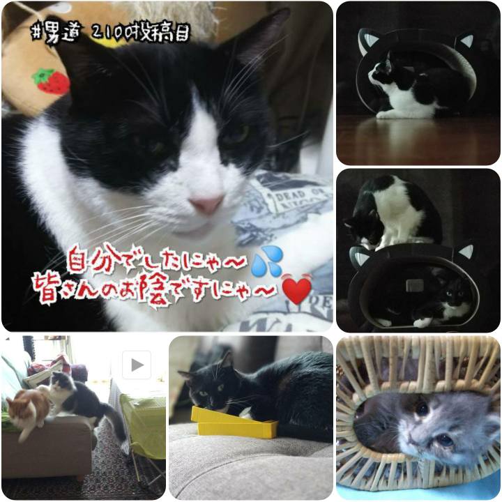 02912c48 f16d 4060 810e 884944bce5f4 1566811920076