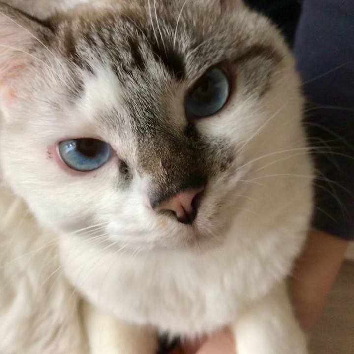 02915967 5686 4fa7 ab60 8b4ad3ebbe87 1513382950221