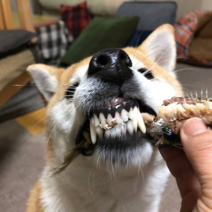 02916746 8bbc 48ba b803 619c68b9c772 1549184507985