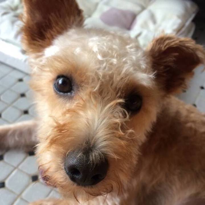 02919ab5 7b45 482d 9f37 d1750d733498 1590923461794