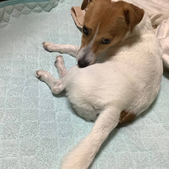 0291a3e7 6b5d 4304 8858 fe3d5c6da600 1564731303257