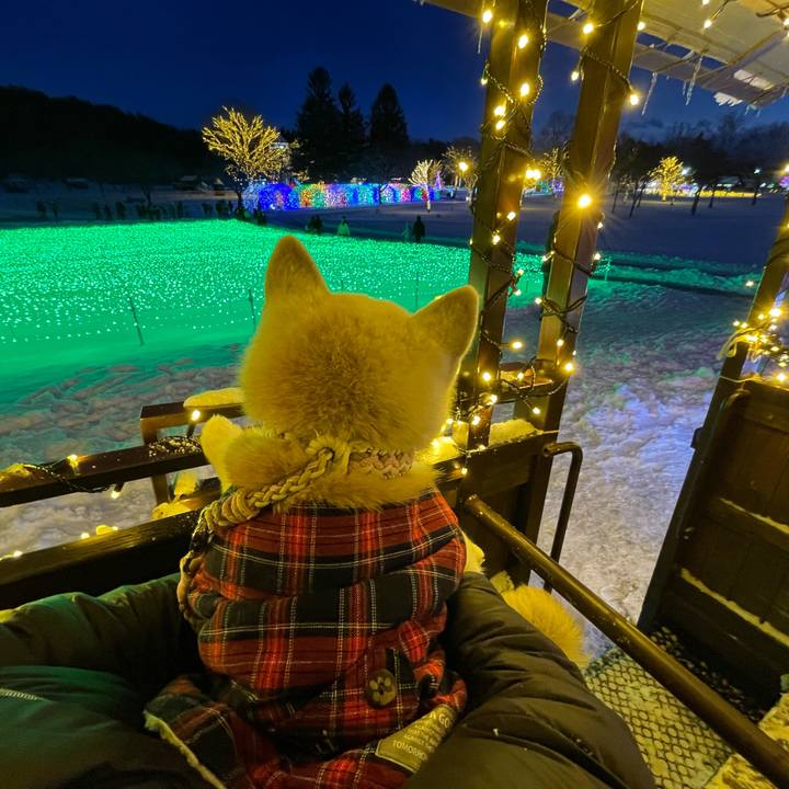 0291af8f 5123 4273 a2dd 99f1a1fdc52f 1735467747195