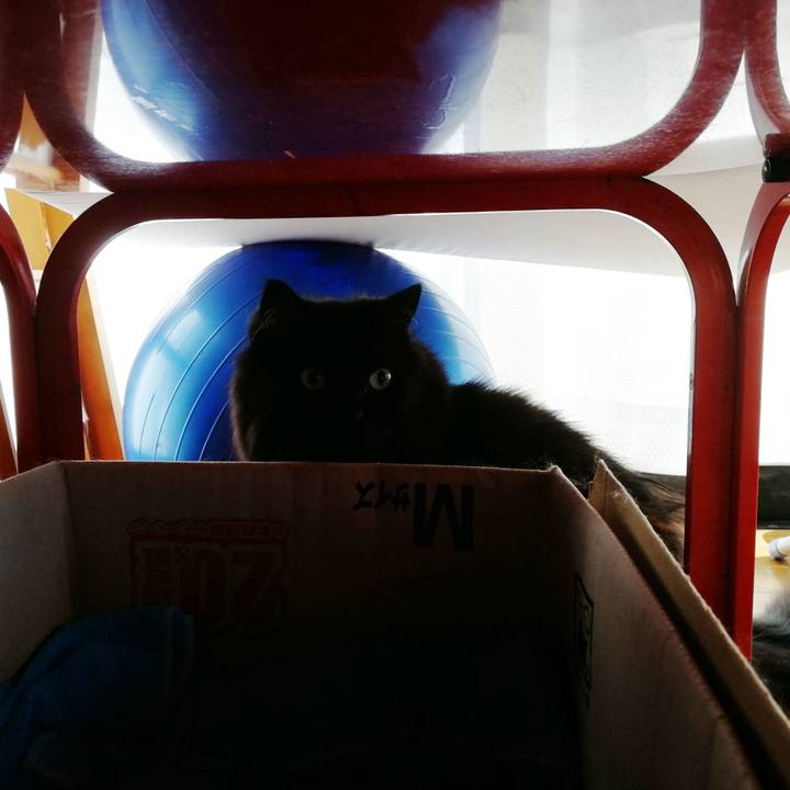 0291d794 ce3e 4bab 8ddc cdaab4c138d5 1534565276072