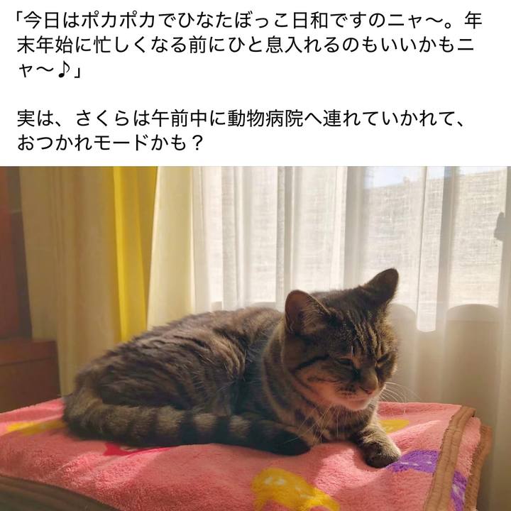 0291f882 96fb 4c33 a7e8 e07d1c6923cf 1765424493397