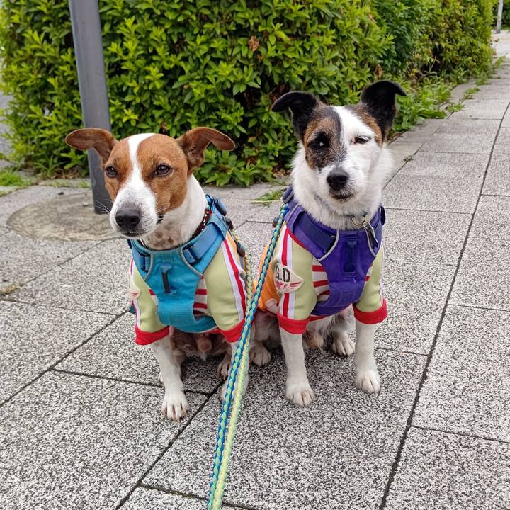 029201ff 1080 4766 a86a 31811b71d839 1654376167355