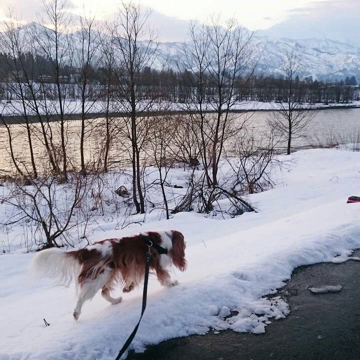 029210c9 5780 4c0b b11a 636881cfc7bf 1552600150140