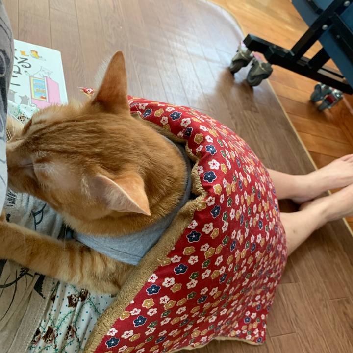 029236ae 40d2 48fd b860 6473e38463da 1627189270026