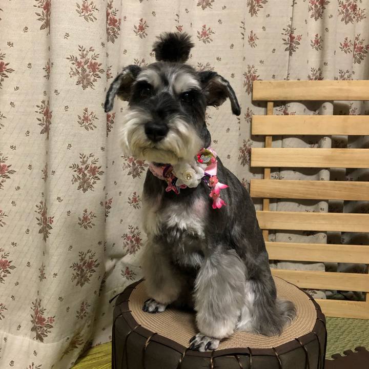 02925768 e126 46b9 ad8c 3f515cb99913 1671789917995