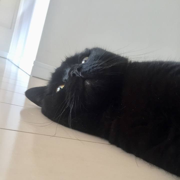 02925952 4e5a 400e 9ee0 37ddd92f80f6 1595121619816