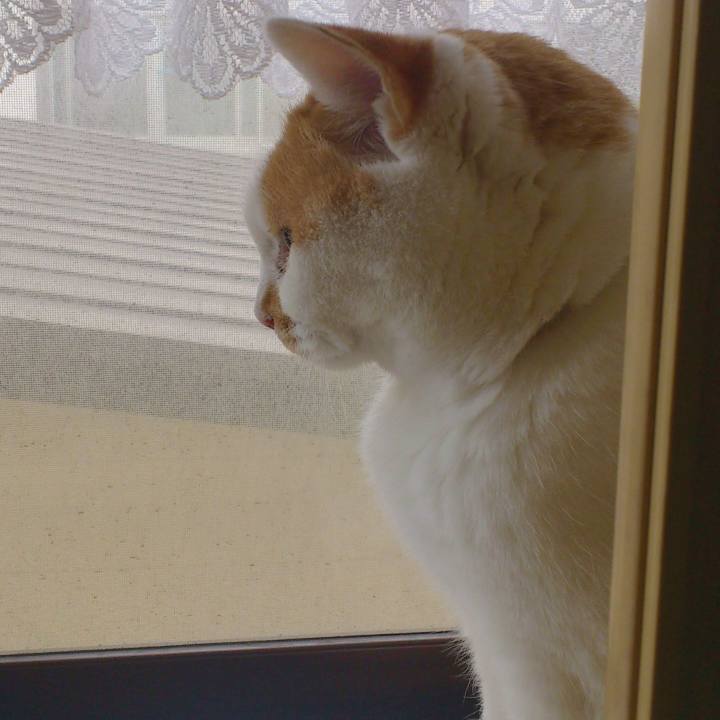 02927b3c 286c 4e8d 83ce 64f5c735f648 1657970886900