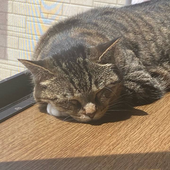 0292b097 f78e 42af ab7c bf2984d5cb98 1620439902380