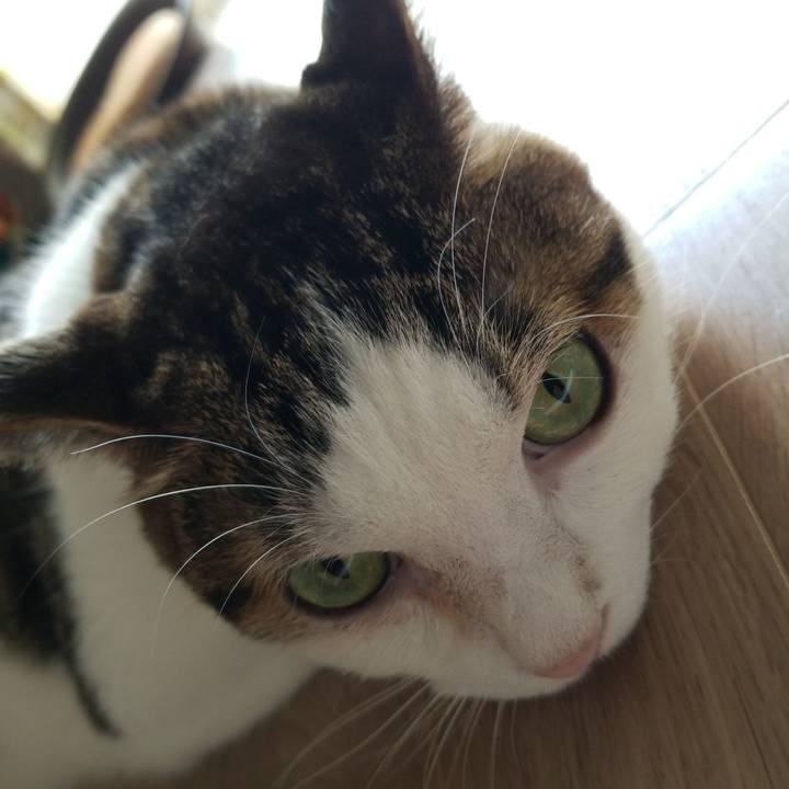 0292b684 a100 4b81 8ad1 f561ff880f50 1567898695387