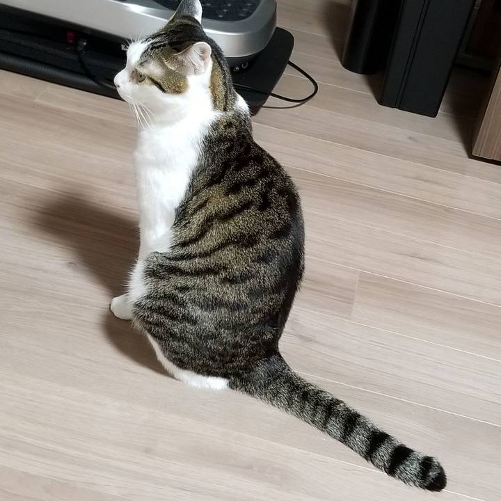 0292c0c4 4f05 474f a7b5 fe67e884f295 1611697270399