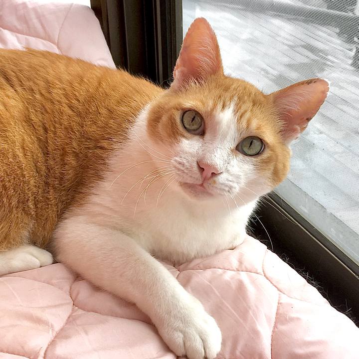 029305a8 1183 46be a3b7 3a46b7c9a130 1599375631108