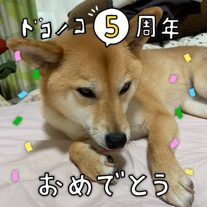 02930ac1 800f 4944 a77f d61cb0f02bc9 1622853380126