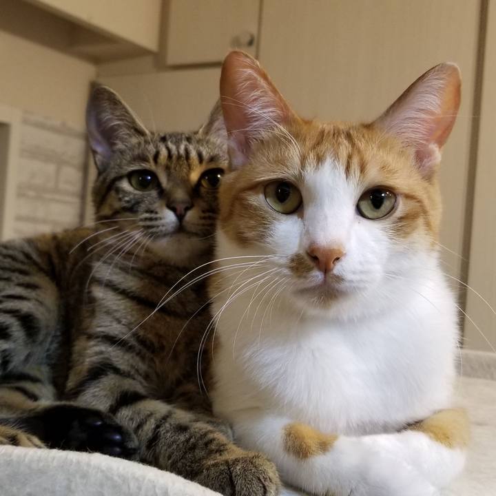 02930f5f fc13 4dfc b0bf c4b5576114ca 1551264524375