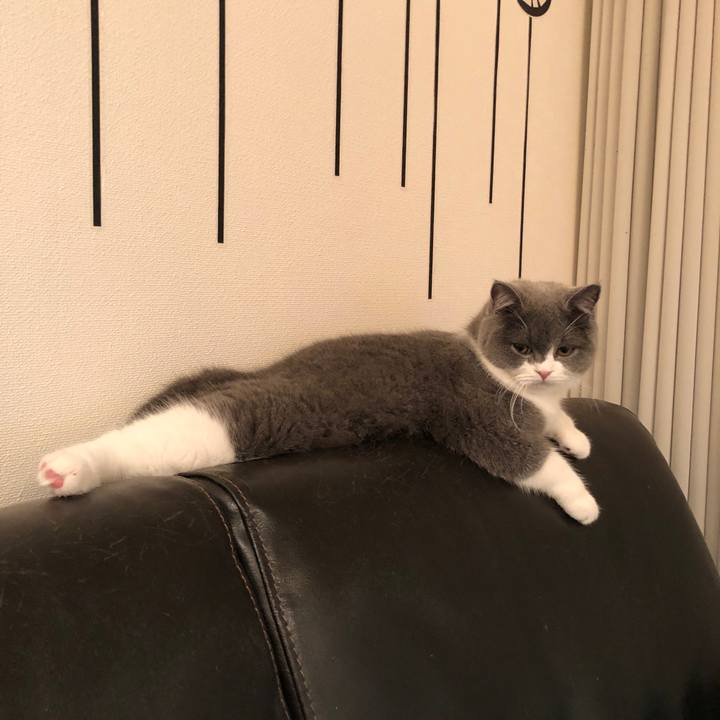 0293303d 071c 4a7f 9b0f 9c5bd8a7c075 1513873710374