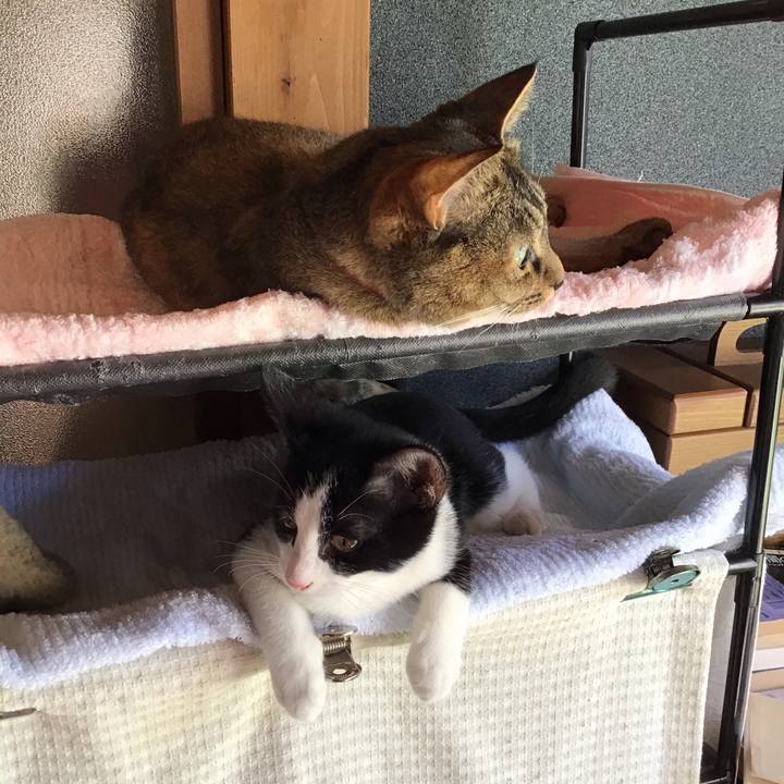 02934b22 1f60 45f5 bd8c 4726708cb2a4 1628211799827