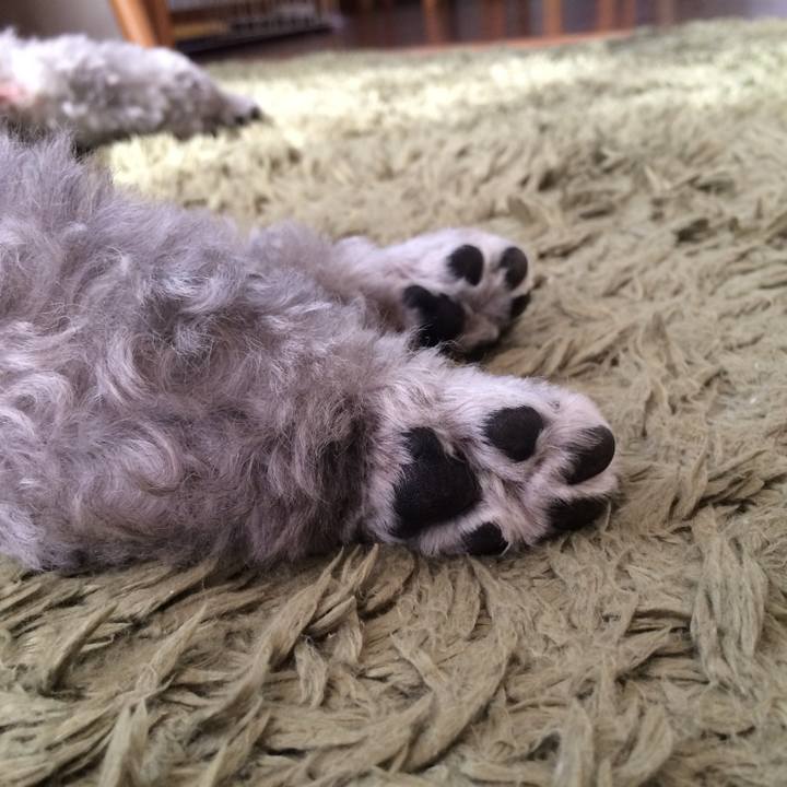 02938d41 a752 4c86 8997 36b1dac83823 1730853775275