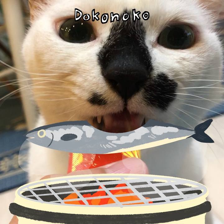 0293948e 1c34 4792 a1a1 8d01ce6540af 1761546243805