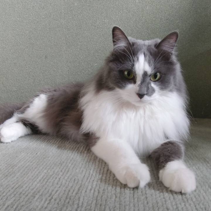 02939d78 a5eb 4b81 a822 8bf122ceebc6 1619930182845