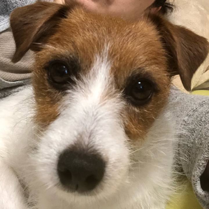 0293a20e e74d 4b88 8dc5 cff876574143 1551585433352