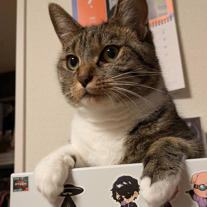 0293b81c 0865 4cbc 98db d81436f0ea02 1721651578015