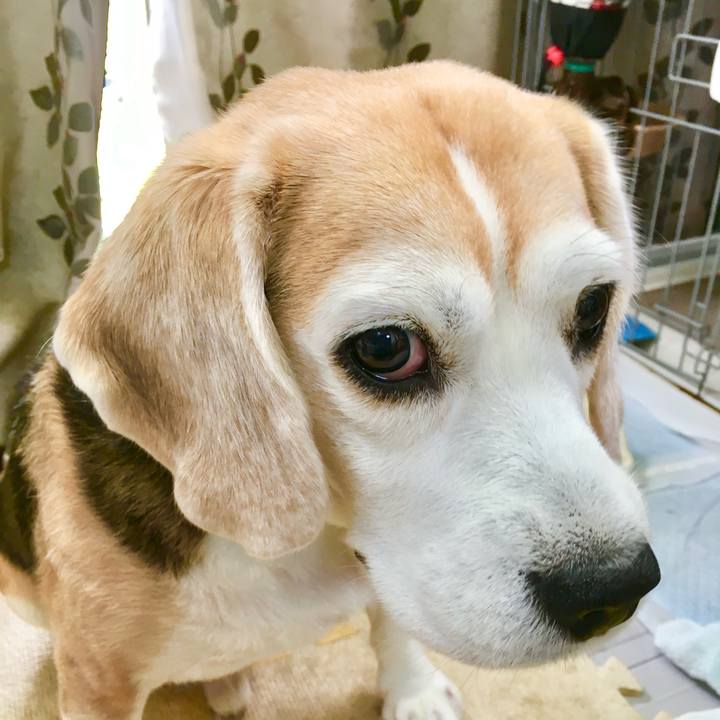 0293ca52 31fe 4a19 9247 badc6ef120b0 1762320841298