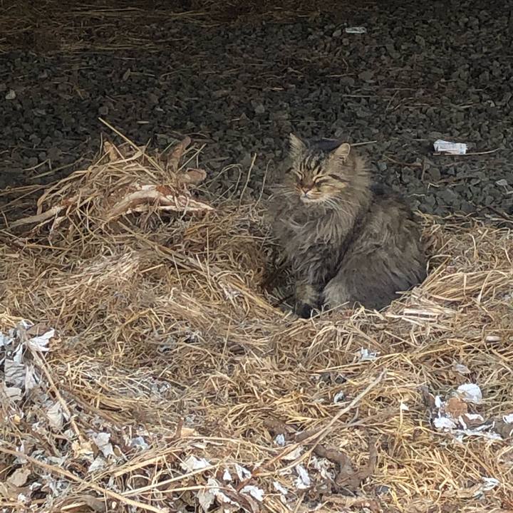 0293ccbc 903e 4d6b ba4c 7cf62d4fd15f 1550750294970