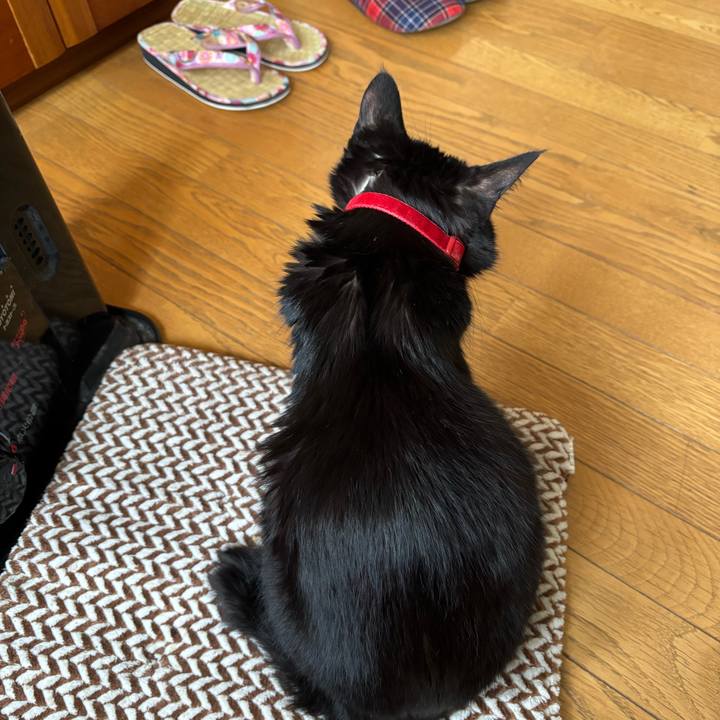 029439b0 27a2 44df 979a d71610e528f0 1735469783994