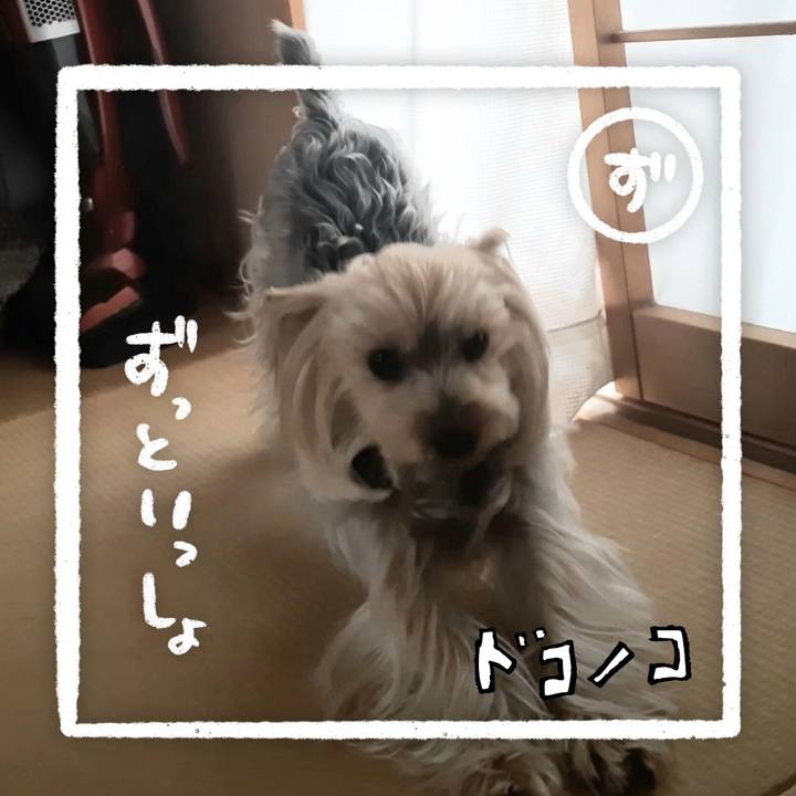 029454e0 7dc6 43b9 95b1 830724e2c9f5 1685973873709