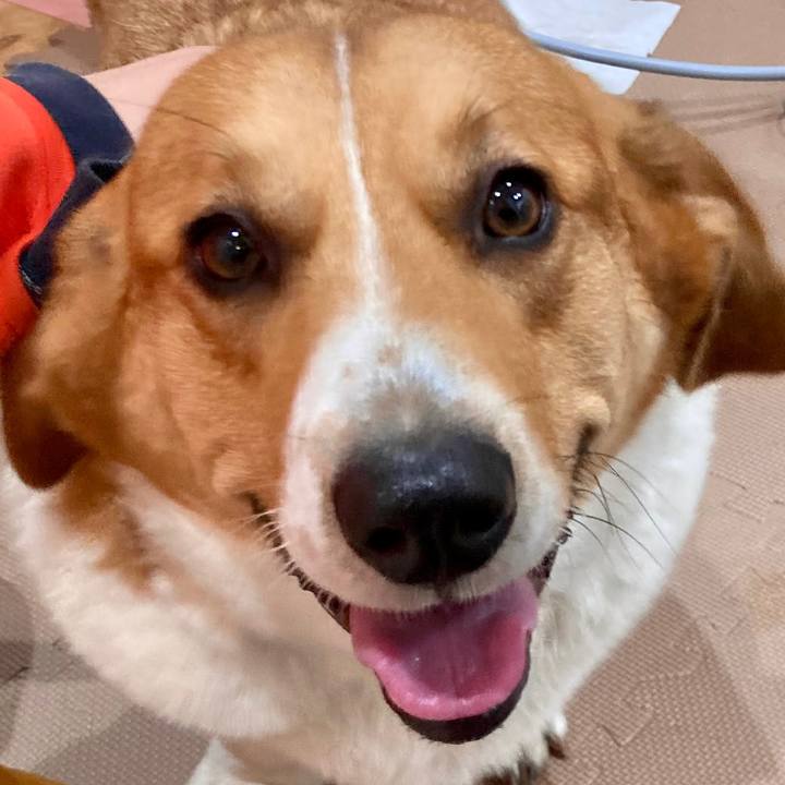 0294586b fd3c 4543 bc70 31ea3cefbdb7 1677986553136