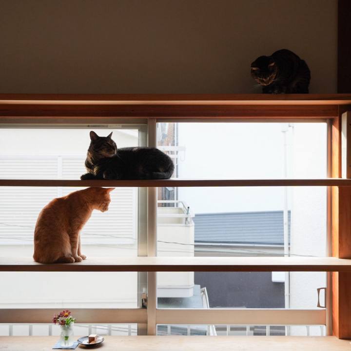 02948952 e614 4fec af9a d1b03890fb98 1735636808167