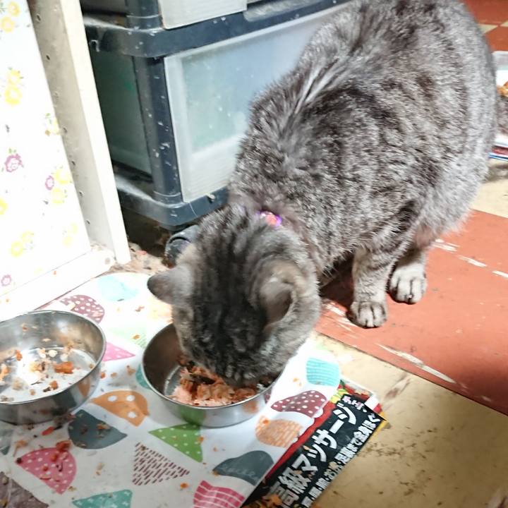 0294b102 94b4 4276 897c 324a1ca21f29 1588536464632