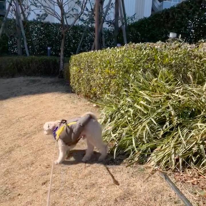 0294c367 6b6f 43be 9629 3e7b5695ff22 1550384180119