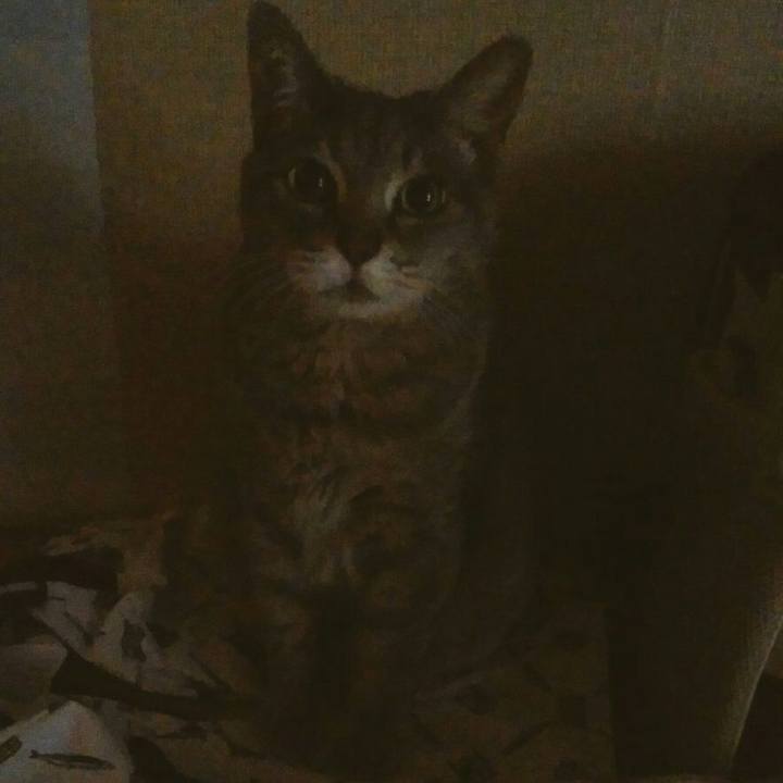 0294e987 ff90 4362 8e36 e27aeb8d0341 1559253618161